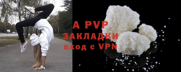 ПСИЛОЦИБИНОВЫЕ ГРИБЫ Кукмор
