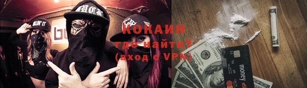 прущие грибы Костерёво